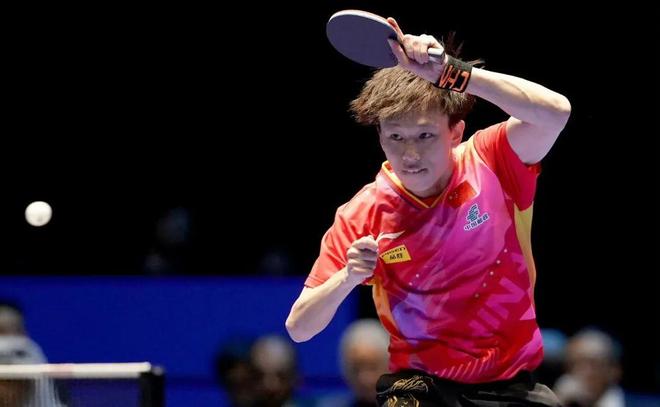 提供全新的 提供全新的