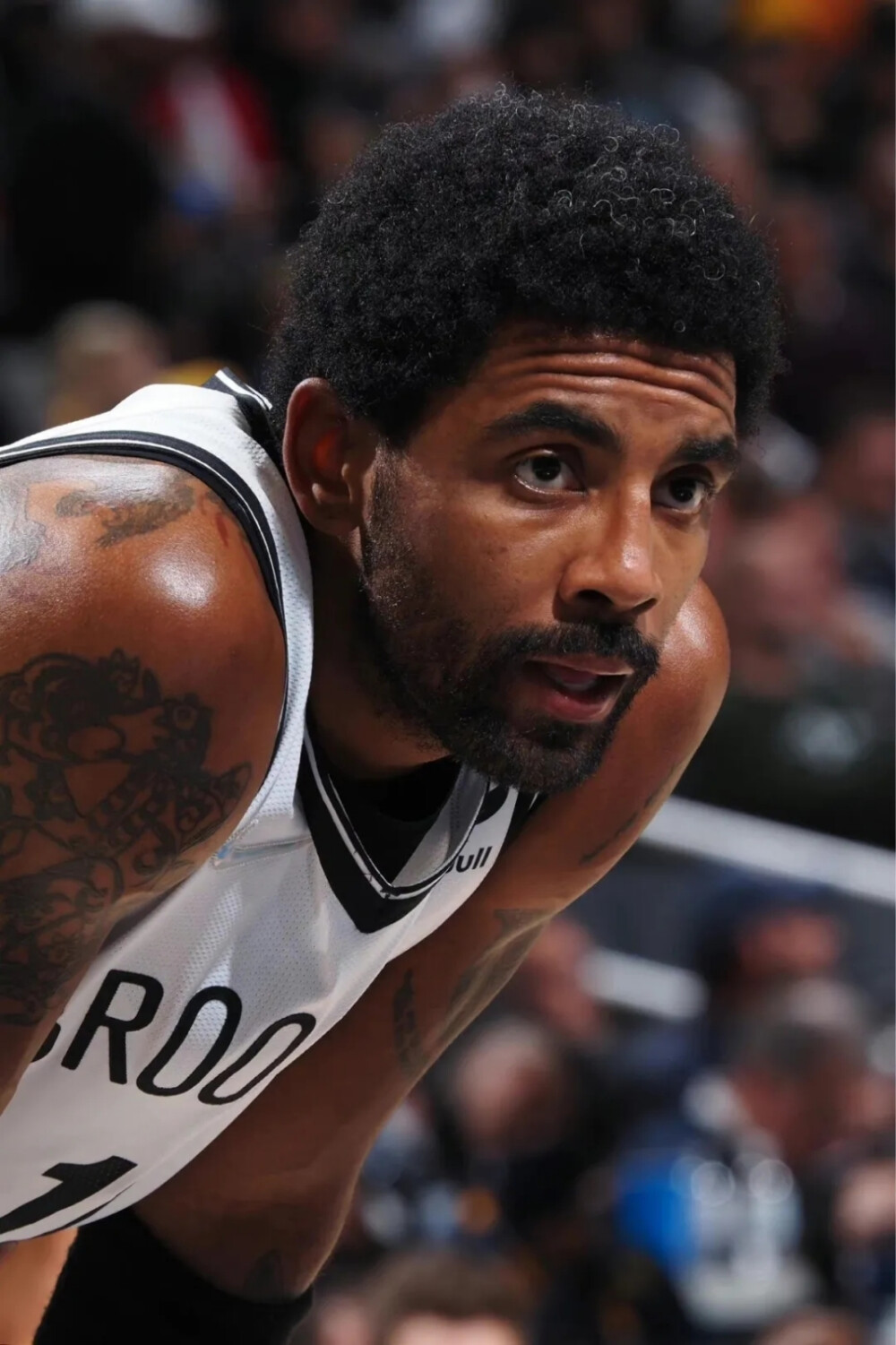 马尔蒂尼的 马尔蒂尼的