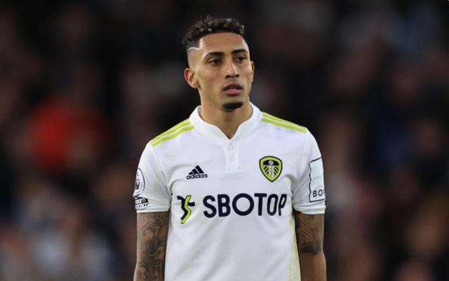 可以看出 可以看出