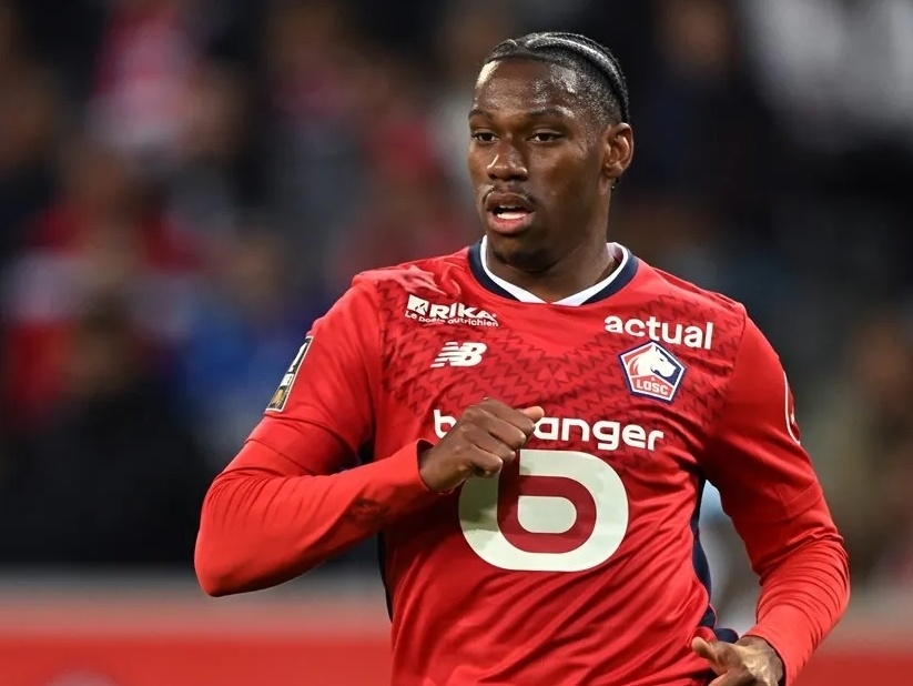 适应能力 适应能力